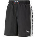 Short Puma FD BMW MMS STATEMENT