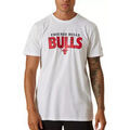 Tee-shirts sur Grenoble : T-shirt New-Era Chicago Bulls NBA Wordmark