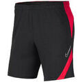 Short Nike ACADEMY PRO