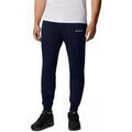 Jogging Columbia LOGO FLEECE JOGGER II Grenoble