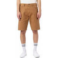 Short Dickies DUCK CANVAS SW Grenoble