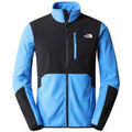 Vestes sur Grenoble : Blouson The North Face GLACIER FLEECE PRO FULL ZIP