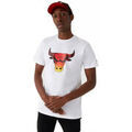 T-shirt New-Era CHICAGO BULLS SUMMER CITY Grenoble