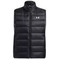 Vestes sur Grenoble : Veste Under Armour Legend Down Vest