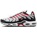 Baskets homme sur Grenoble : Baskets basses Nike AIR MAX PLUS