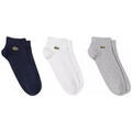 Chaussettes sur Grenoble : Chaussettes Lacoste Lot de 3 paires de