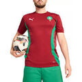 Tee-shirts sur Grenoble : T-shirt Puma FRMF Prematch SS