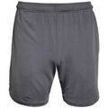 Shorts/Bermuda sur Grenoble : Short Under Armour Tech Vent7in