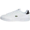 Baskets basses Lacoste CARNABY CUP Grenoble