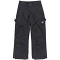 Pantalon DC Shoes Banshee Grenoble