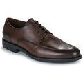 Chaussures de ville homme sur Grenoble : Derbies Lloyd MACAO
