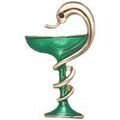Broches Clj Charles Le Jeune Broche Caduc&eacute;e Pharmacien Vert Grenoble