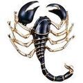 Broches sur Grenoble : Broches Clj Charles Le Jeune Broche scorpion Noir
