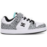 Chaussures de Skate DC Shoes Manteca 4 V Sn