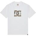 T-shirt DC Shoes DC Star Filled