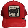Casquettes sur Grenoble : Casquette Goorin Bros -