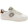 Baskets Lotto -