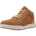 Baskets montantes Sunni Sabbi Senzo 019