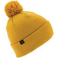 Bonnets sur Grenoble : Bonnet Coal BEANIE THE PABLO MUSTARD