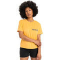 Tee-shirts sur Grenoble : T-shirt Quiksilver Standard
