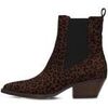 Bottines Poelman CARMEN Bottines pour femmes