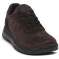 Chaussures Enval RHINO MORO Marron Grenoble