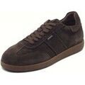Baskets homme sur Grenoble : Baskets basses NeroGiardini I500890U Arold T.