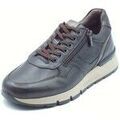 Baskets homme sur Grenoble : Baskets basses NeroGiardini I500870U Savana