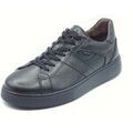 Baskets homme sur Grenoble : Baskets basses NeroGiardini I500970U Guanto