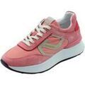 Baskets NeroGiardini E306442D Velour Grenoble