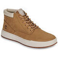 Baskets homme sur Grenoble : Baskets montantes Timberland MAPLE GROVE