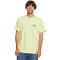 Tee-shirts sur Grenoble : T-shirt Quiksilver MW Logo