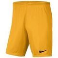 Short Nike Park III