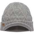 Bonnets sur Grenoble : Bonnet Coal BEANIE THE YUKON BRIM HEATHER GREY