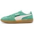 Baskets homme sur Grenoble : Baskets basses Puma Palermo Vintage