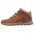 Bottes homme sur Grenoble : Bottes Timberland SPRINT TREKKER Mid