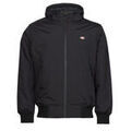 Blouson Dickies NEW SARPY JACKET Grenoble