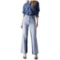 Pantalons sur Grenoble : Jeans Salsa 127321 8502