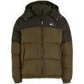 Vestes sur Grenoble : Veste Tommy Hilfiger DM0DM17482 MR1