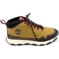 Bottes homme sur Grenoble : Bottes Timberland TB0A62WM231