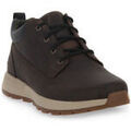 Bottes homme sur Grenoble : Bottes Timberland KILLINGHTON PARK