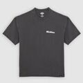 Tee-shirts sur Grenoble : T-shirt Dickies Slayden Gd