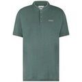 Polos sur Grenoble : Polo Ferre Giorgio