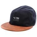 Casquettes sur Grenoble : Casquette Puma Skate 5