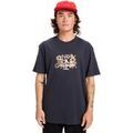 Tee-shirts sur Grenoble : T-shirt Quiksilver Ev Natural Smash