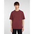 T-shirt Dickies PLENTYWOOD TEE - DK0A866BL161-ANDORRA