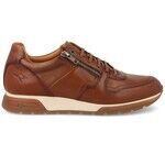 Ville basse Kangaroos -