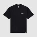 Tee-shirts sur Grenoble : T-shirt Dickies Burns Tee Ss