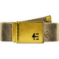 Ceintures sur Grenoble : Ceinture Etnies ICON WEB BELT KHAKI
