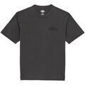 Tee-shirts sur Grenoble : T-shirt Dickies CHRISTIANA GD TEE SS